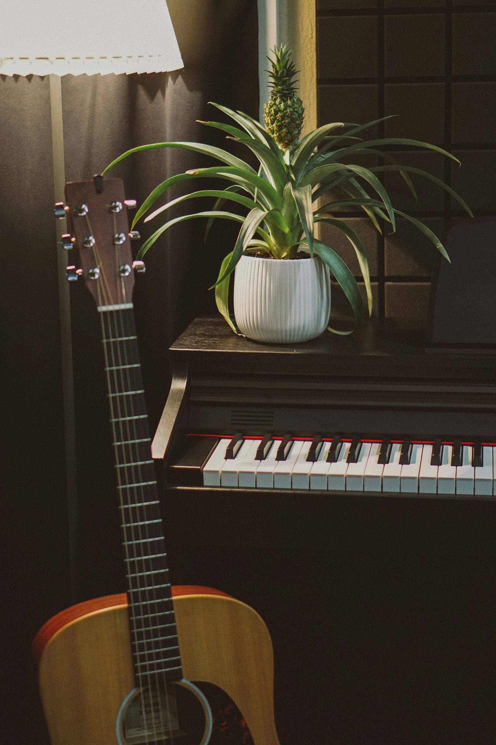 Akoestische gitaar naast een piano en een plant in een muziekstudio