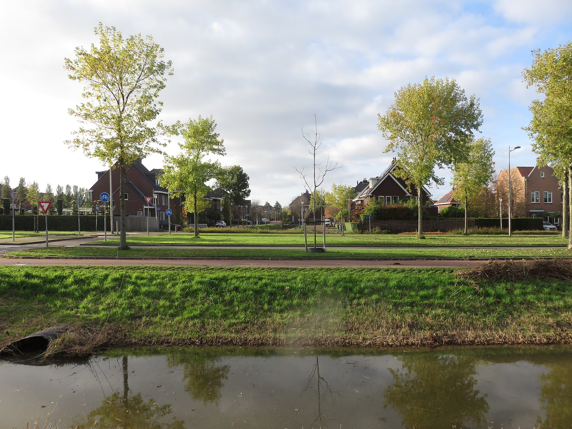 Woningen aan het water en jonge bomen in de buurt Gouden Griffel in Berkel en Rodenrijs