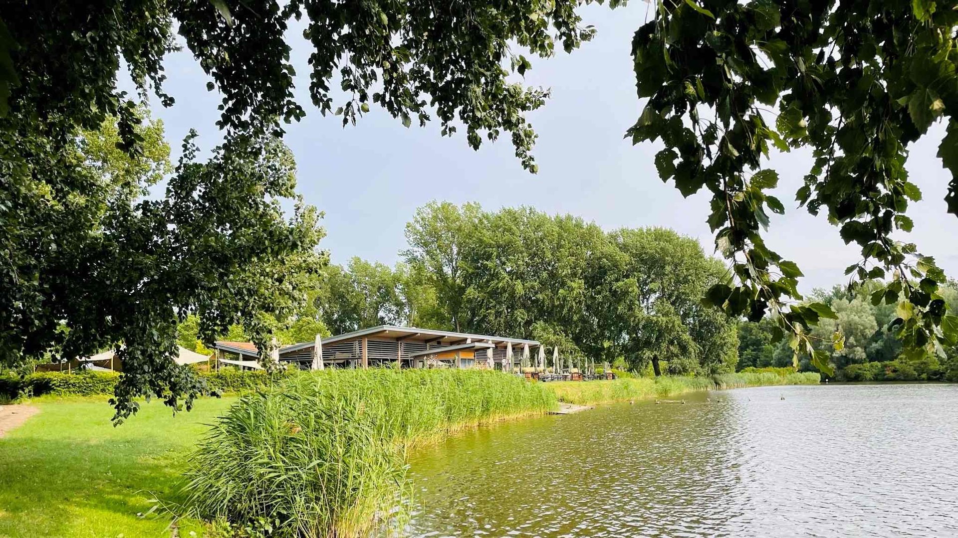 Plas bij Lake House in het Lage Bergse Bos