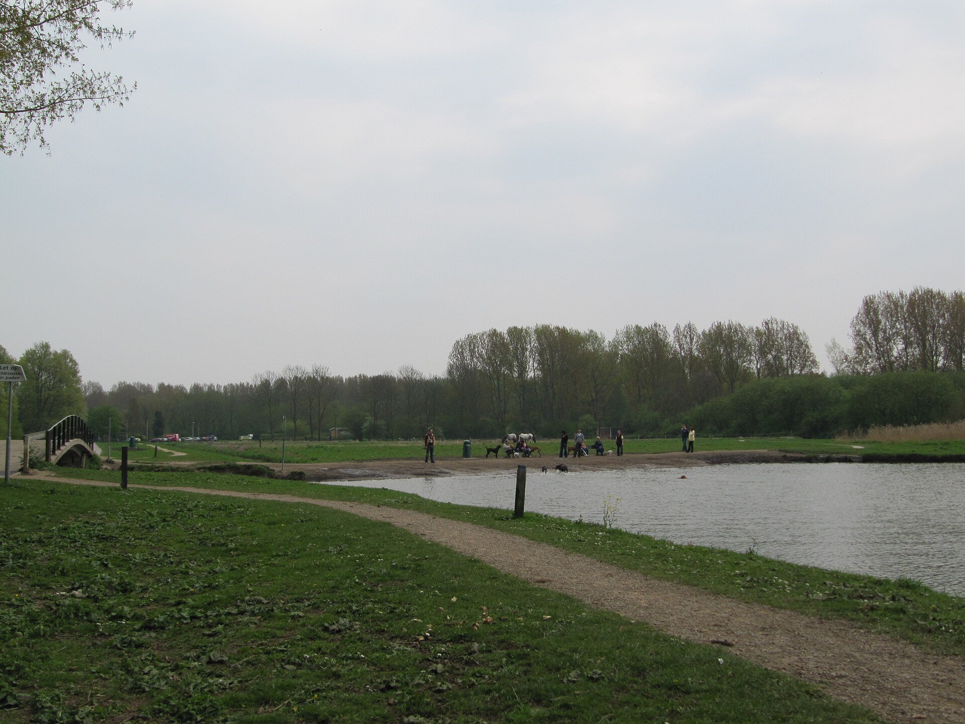 Grasveld en zandstrandje aan het water in het Lage Bergse Bos, waar honden mogen zwemmen