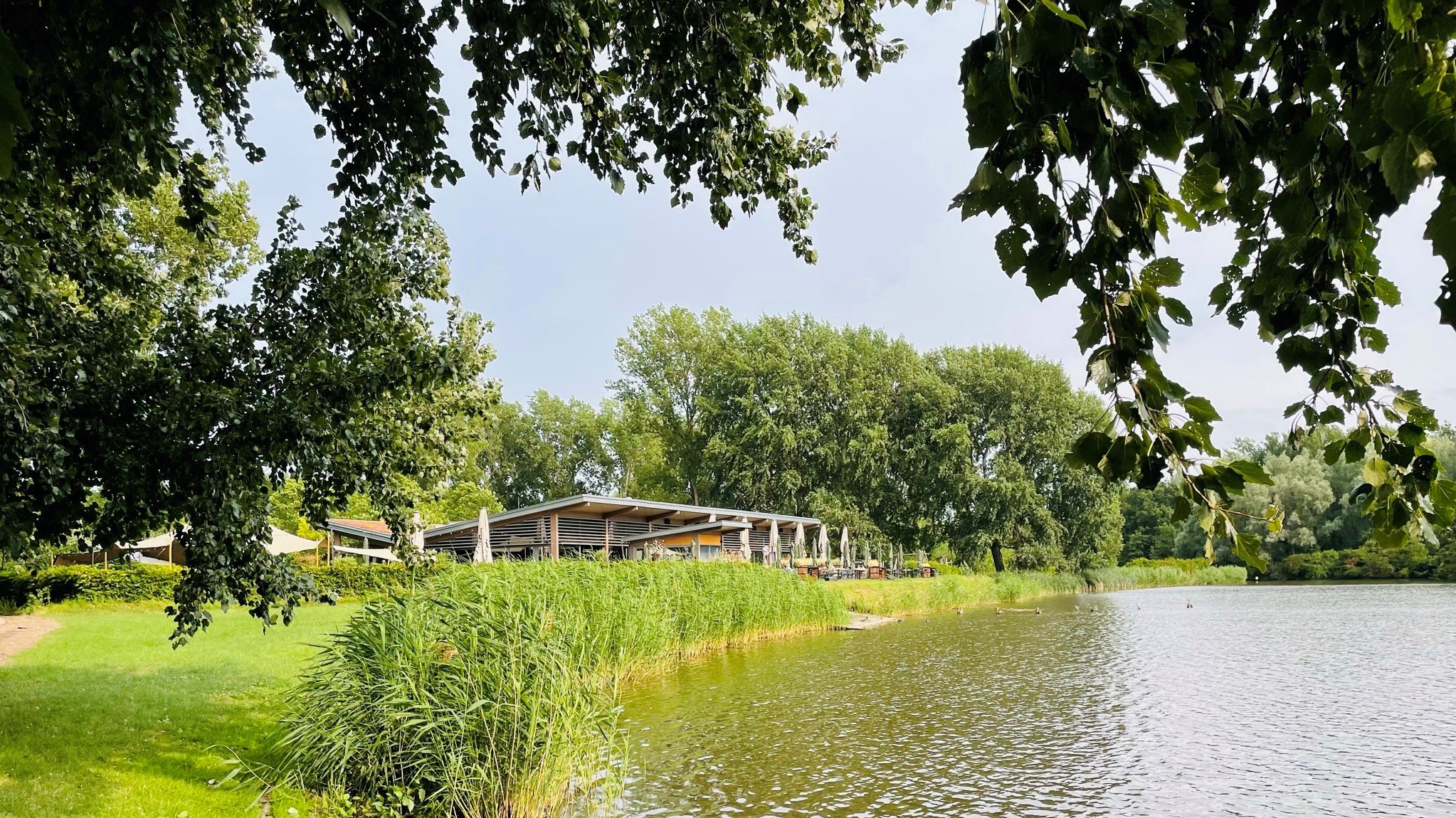 Water en groen bij het Bergse Bos in Bergschenhoek, met een paviljoen aan de oever