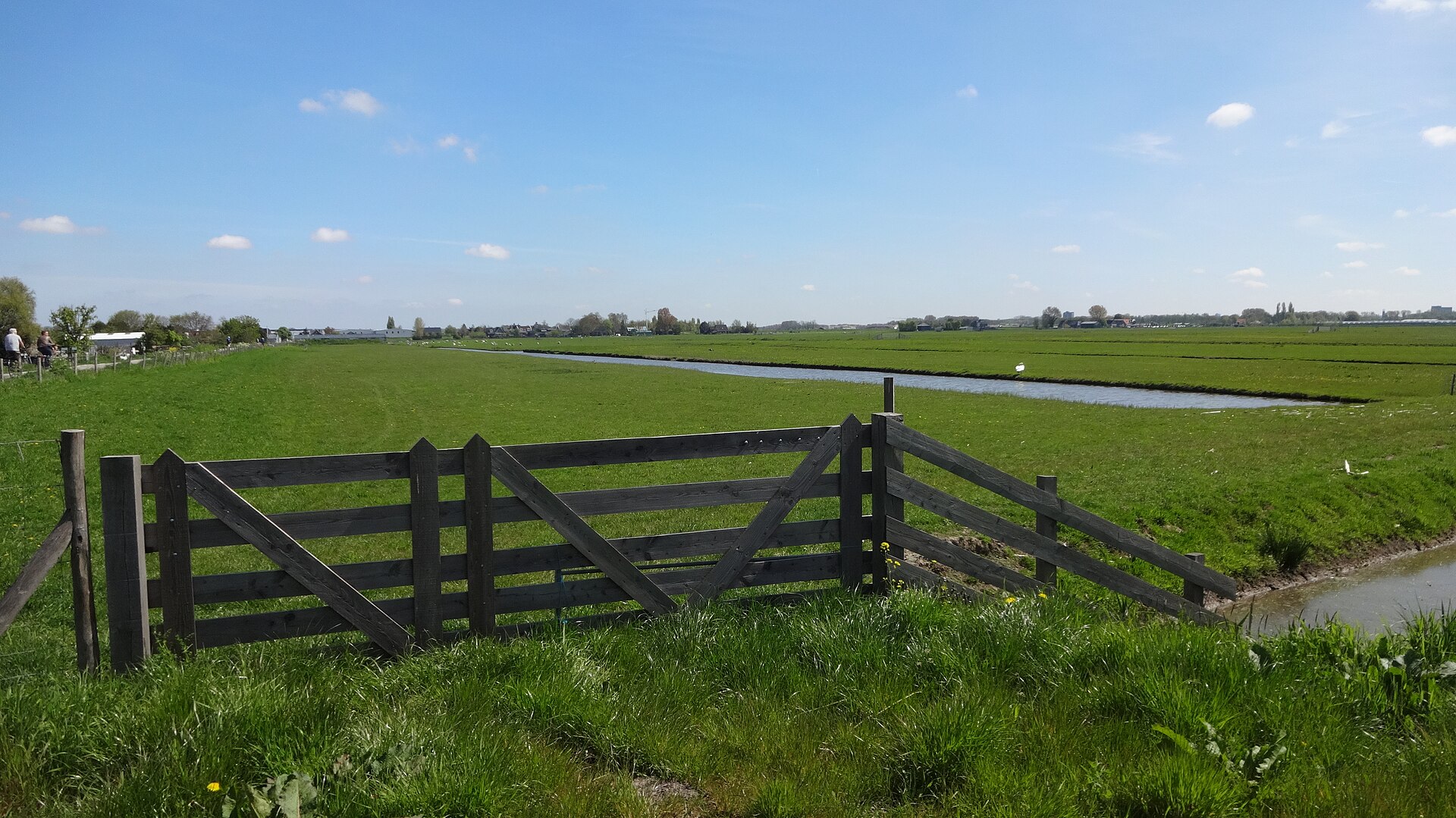 Weiland met sloot en houten hek in Polder Schieveen